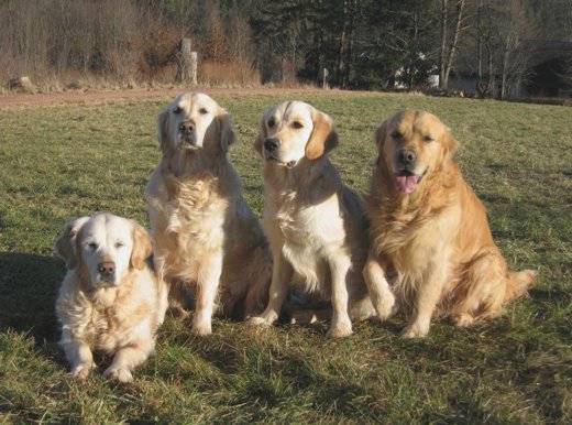 unsere Vier, Januar 2008