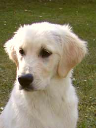 Balma, Portrait