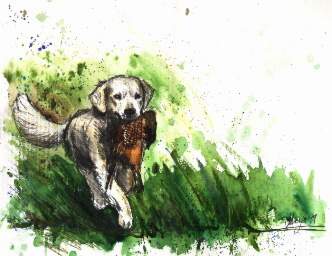 Inish (Aquarell von Marja Schaffer)