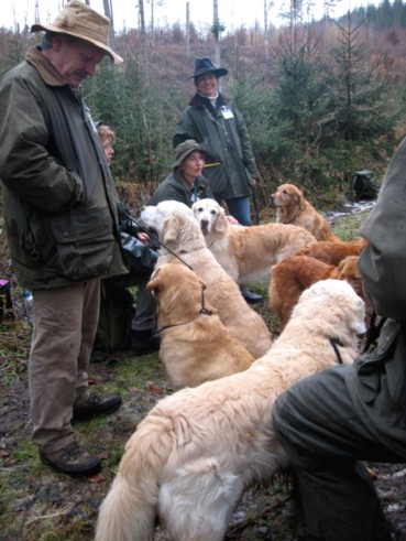 Walk up Fortgeschrittene, mit Richterin Ann Crookes