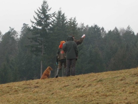 Walk up Fortgeschrittene, mit Richterin Ann Crookes