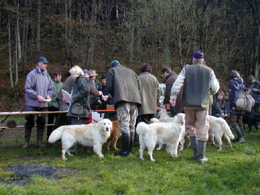 Bei der Anmeldung: der Eindruck täuscht - es waren nicht nur weiße Hunde zugelassen ;-)