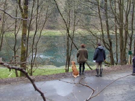 Wassermarkierung für Fortgeschrittene