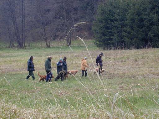 Walk up Fortgeschrittene, mit Richterin Ann Crookes