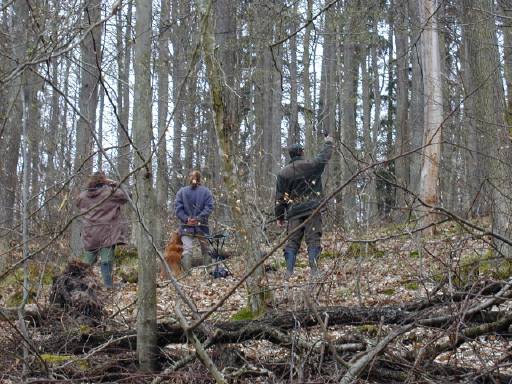 Doppelmarkierung im Wald am Hang