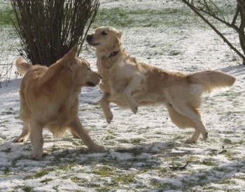 Balma und Glen beim Liebesspiel