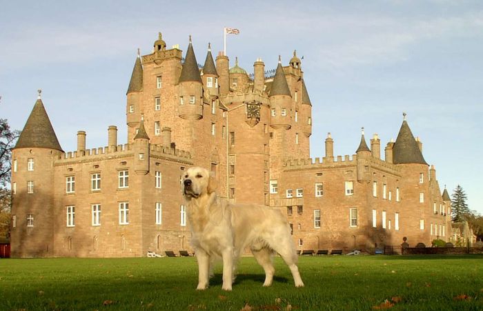 Dumble vor Glamis Castle